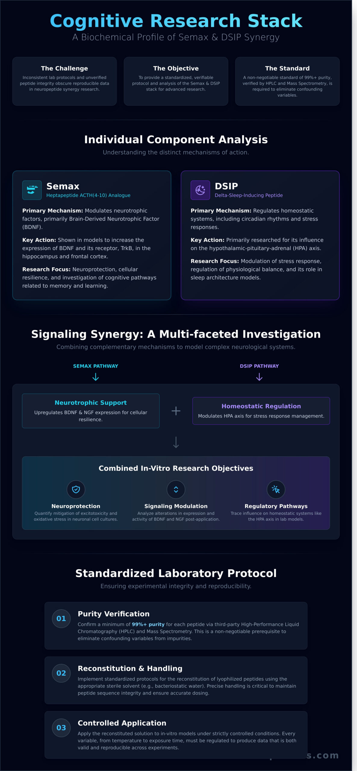 Analyzing The Cognitive Research Stack: A Technical Profile Of Semax ...