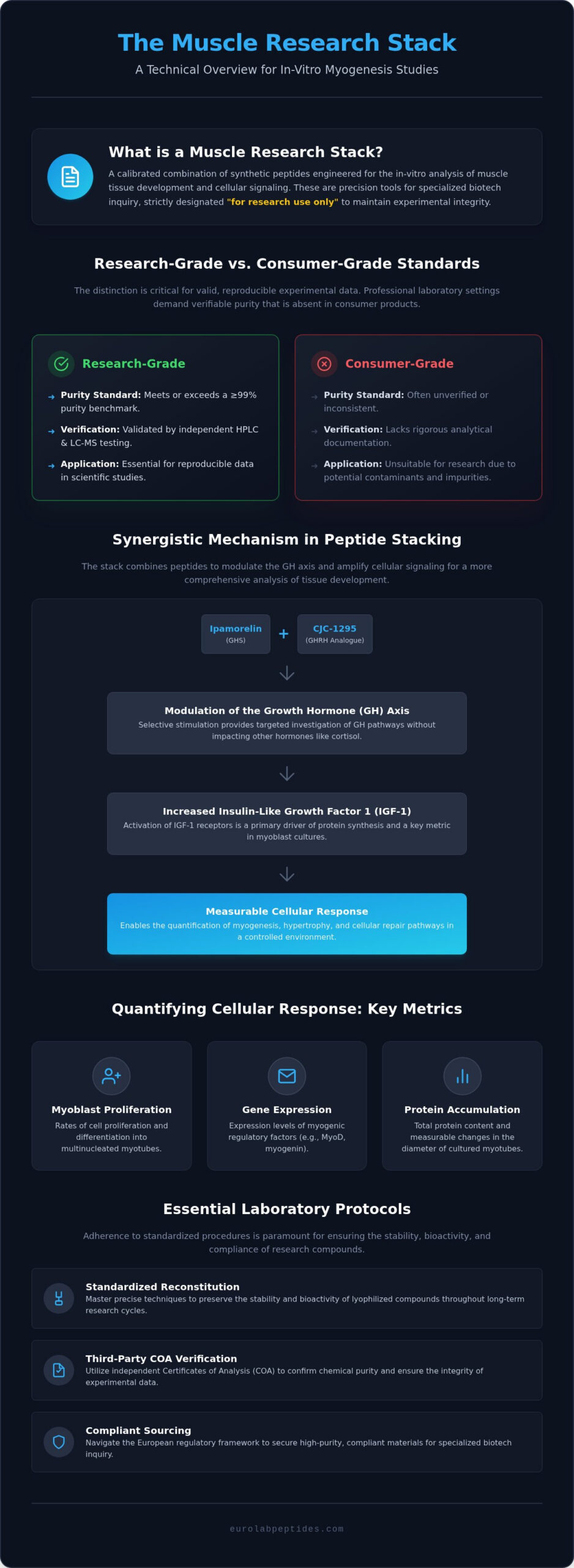 Muscle Research Stack: A Technical Profile for In-Vitro Myogenesis Studies