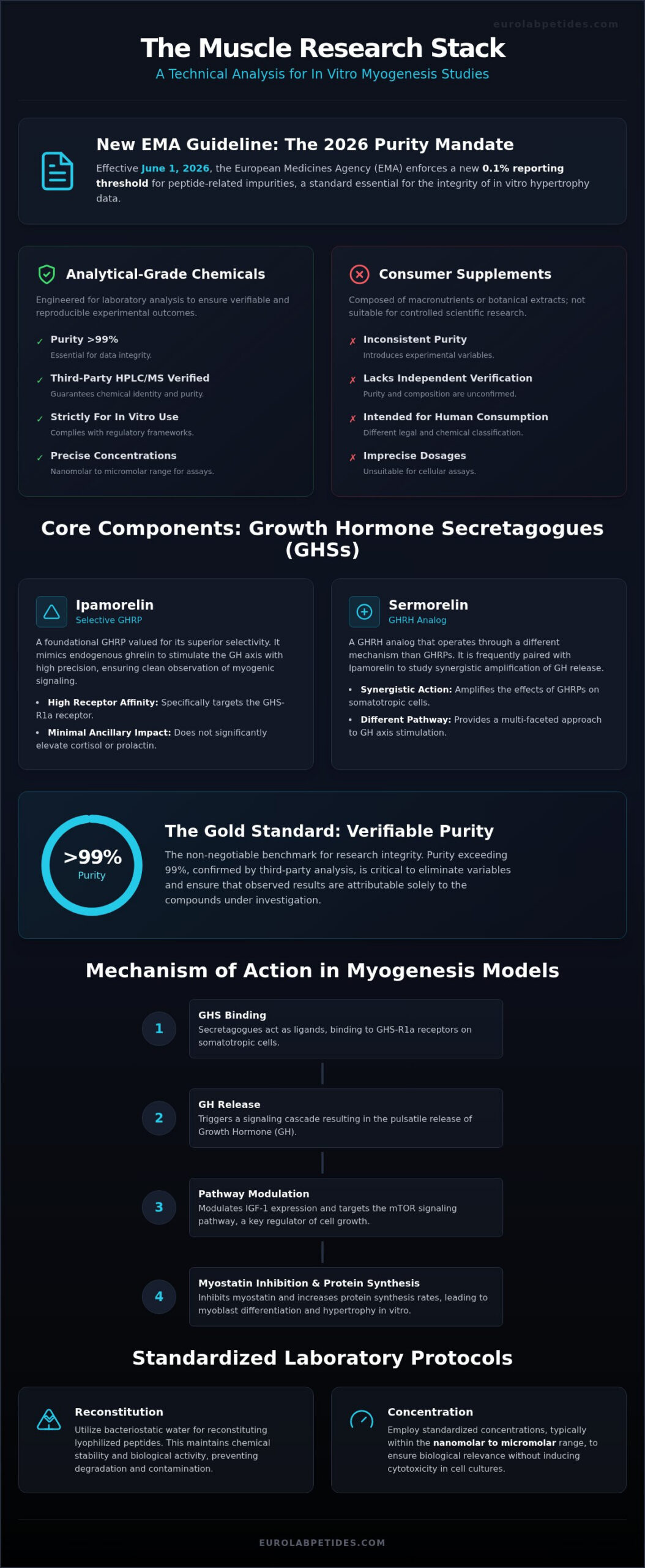 Muscle Research Stack: A Technical Profile for In Vitro Hypertrophy Studies