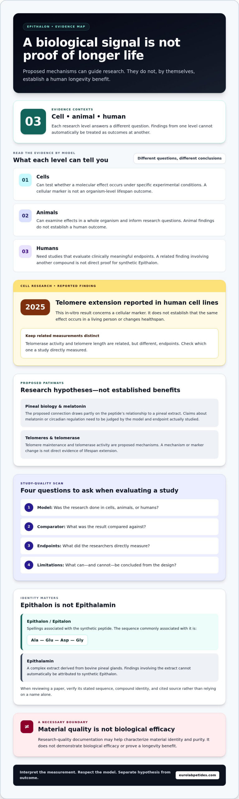 Epithalon for Longevity Research: Mechanisms, Evidence, and Research Context