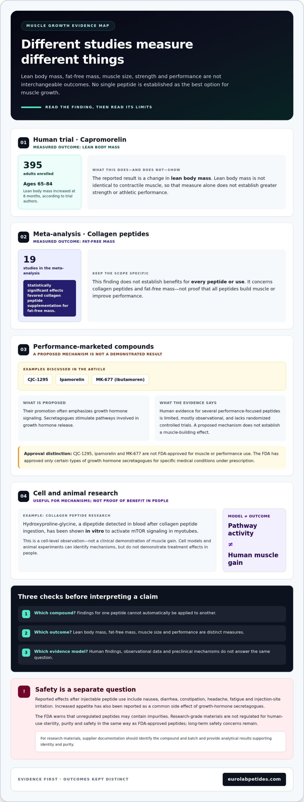 Peptides for Muscle Tissue Research: How They Work in Muscle 1 Peptides for Muscle Tissue Research: How They Work in Muscle